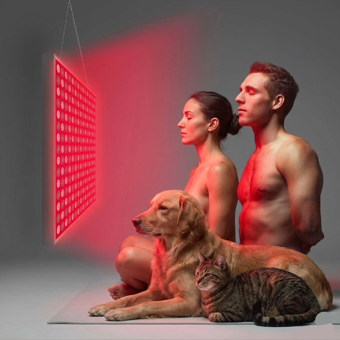 Panel de terapia LED Red Recovery Pro biohack
