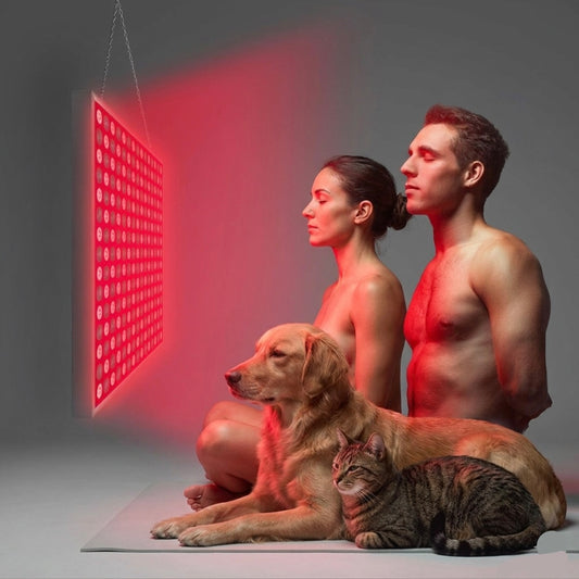 Panel de terapia LED Red Recovery Pro biohack